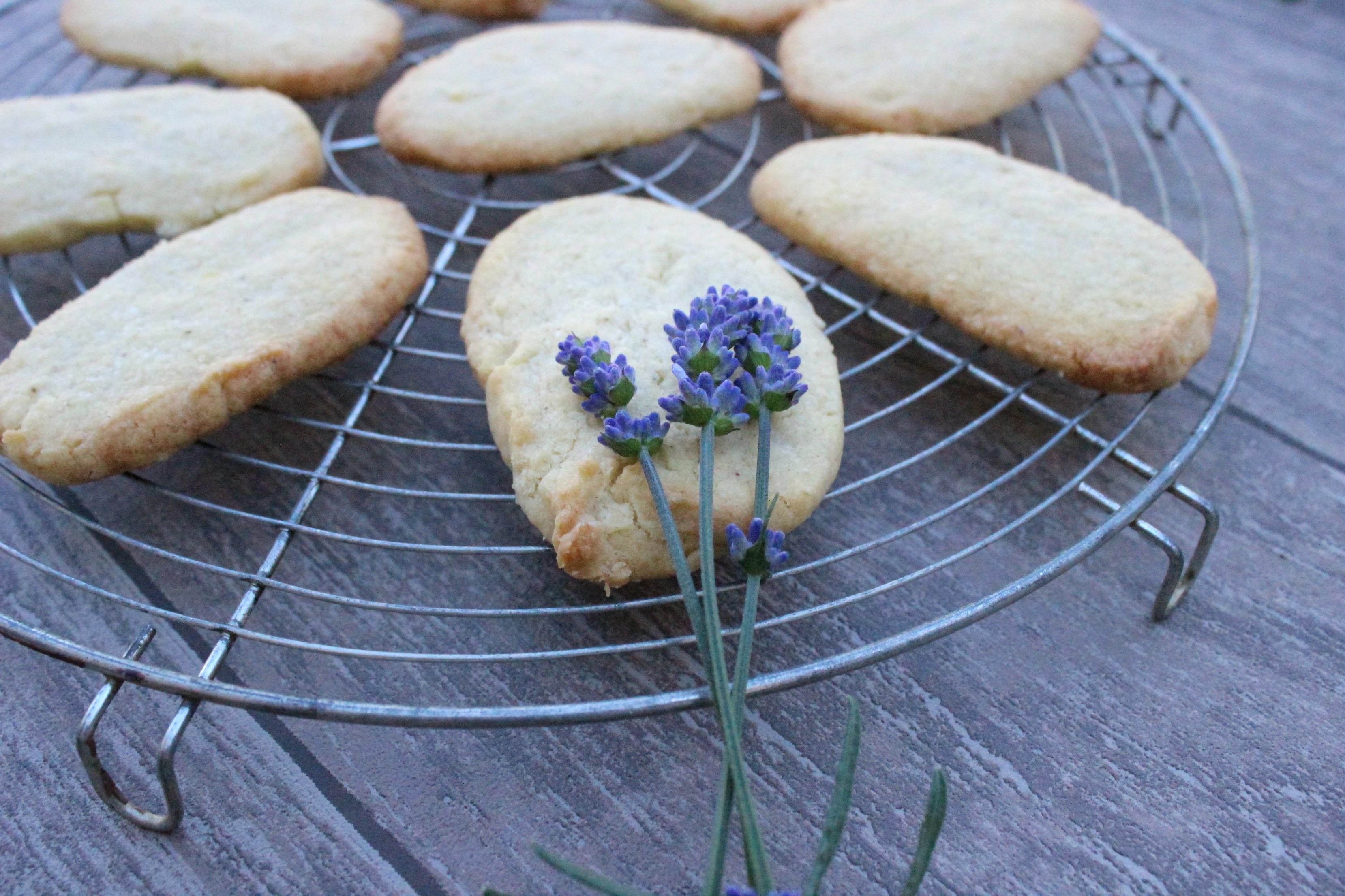 Lavendel-Cookies5
